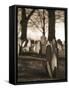 Tombstones in cemetery-Rudy Sulgan-Framed Stretched Canvas