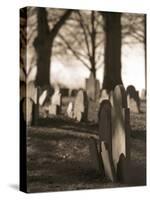 Tombstones in cemetery-Rudy Sulgan-Stretched Canvas