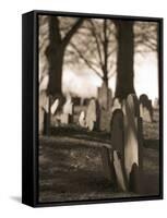 Tombstones in cemetery-Rudy Sulgan-Framed Stretched Canvas