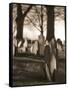 Tombstones in cemetery-Rudy Sulgan-Framed Stretched Canvas