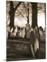Tombstones in cemetery-Rudy Sulgan-Mounted Photographic Print