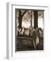 Tombstones in cemetery-Rudy Sulgan-Framed Photographic Print