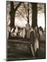 Tombstones in cemetery-Rudy Sulgan-Mounted Photographic Print