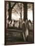 Tombstones in cemetery-Rudy Sulgan-Framed Photographic Print