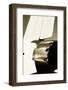 Tomcat I-Alan Hausenflock-Framed Photographic Print