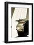 Tomcat I-Alan Hausenflock-Framed Photographic Print