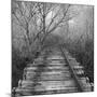 Wood Mount