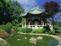 Chinese Pavilion by a Pond in the Golden Gate Park in San Francisco, California, USA-Tomlinson Ruth-Photographic Print