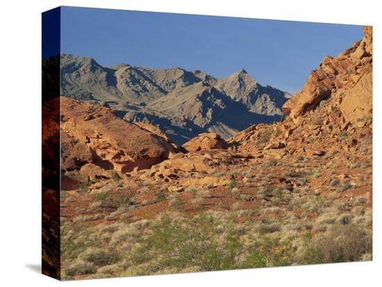 Stretched Canvas Print, , large