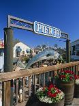 Sign for Pier 39, Fisherman's Wharf, San Francisco, California, USA-Tomlinson Ruth-Photographic Print