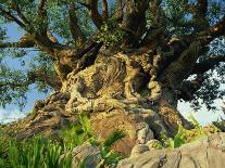 Tree of Life, Animal Kingdom, Disneyworld, Orlando, Florida, USA-Tomlinson Ruth-Photographic Print