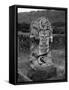 Tommy Dobson's Grave-null-Framed Stretched Canvas