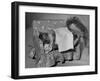 Tommy Tucker the Squirrel Sleeping on a Tiny Couch-Nina Leen-Framed Photographic Print