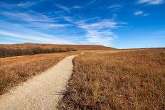 Pathway into the Prairie-tomofbluesprings-Framed Stretched Canvas