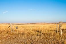 Pathway into the Prairie-tomofbluesprings-Framed Photographic Print