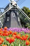 Tulip and Windmill-tomophotography-Stretched Canvas