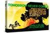 Tomorrow Never Comes-Robert Beebe-Stretched Canvas