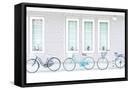 Framed Canvas