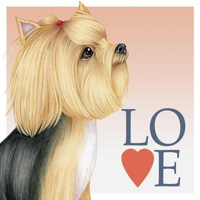 Yorkshire Terrier Love