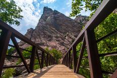 Bridge to Whale's Tail-tompotterphotography-Photographic Print