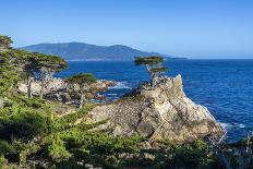 Carmel Bay, Lone Cypress at Pebble Beach, 17 Mile Drive, Peninsula, Monterey, California, USA-Toms Auzins-Photographic Print