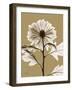 Tonal Chrysanthemum-Albert Koetsier-Framed Art Print