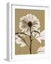 Tonal Chrysanthemum-Albert Koetsier-Framed Art Print