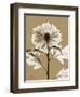 Tonal Chrysanthemum-Albert Koetsier-Framed Art Print