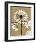 Tonal Chrysanthemum-Albert Koetsier-Framed Art Print