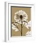Tonal Chrysanthemum-Albert Koetsier-Framed Art Print