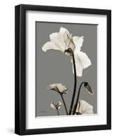 Tonal Cyclamen-Albert Koetsier-Framed Art Print