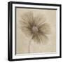 Tonal Flowers I-Emma Forrester-Framed Giclee Print