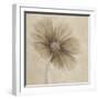 Tonal Flowers I-Emma Forrester-Framed Giclee Print