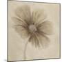 Tonal Flowers I-Emma Forrester-Mounted Giclee Print