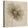 Tonal Flowers I-Emma Forrester-Stretched Canvas