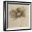 Tonal Flowers II-Emma Forrester-Framed Giclee Print