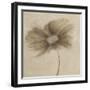 Tonal Flowers II-Emma Forrester-Framed Giclee Print