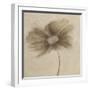 Tonal Flowers II-Emma Forrester-Framed Giclee Print