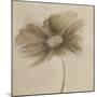 Tonal Flowers II-Emma Forrester-Mounted Giclee Print