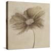 Tonal Flowers II-Emma Forrester-Stretched Canvas