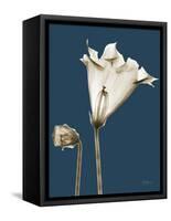 Tonal Gloxinia on Navy-Albert Koetsier-Framed Stretched Canvas