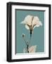 Tonal Hibiscus on Blue-Albert Koetsier-Framed Art Print