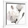 Tonal Magnolias I-Lanie Loreth-Framed Premium Giclee Print