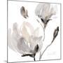 Tonal Magnolias I-Lanie Loreth-Mounted Premium Giclee Print