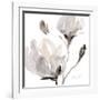 Tonal Magnolias I-Lanie Loreth-Framed Art Print