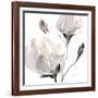 Tonal Magnolias I-Lanie Loreth-Framed Art Print