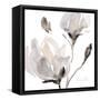 Tonal Magnolias I-Lanie Loreth-Framed Stretched Canvas