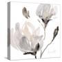 Tonal Magnolias I-Lanie Loreth-Stretched Canvas