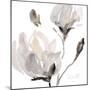 Tonal Magnolias I-Lanie Loreth-Mounted Premium Giclee Print