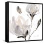 Tonal Magnolias I-Lanie Loreth-Framed Stretched Canvas